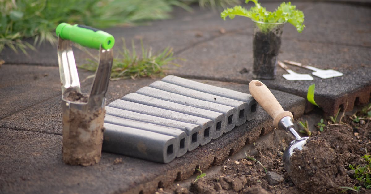 🌿 Comment bien préparer son projet de jardinage ?